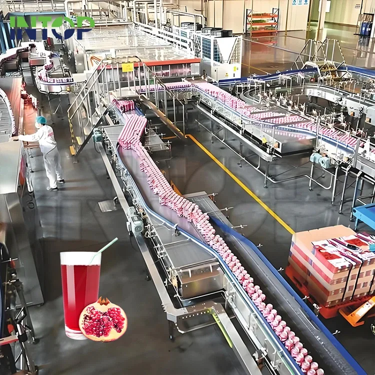 अनार का रस उत्पादन लाइन